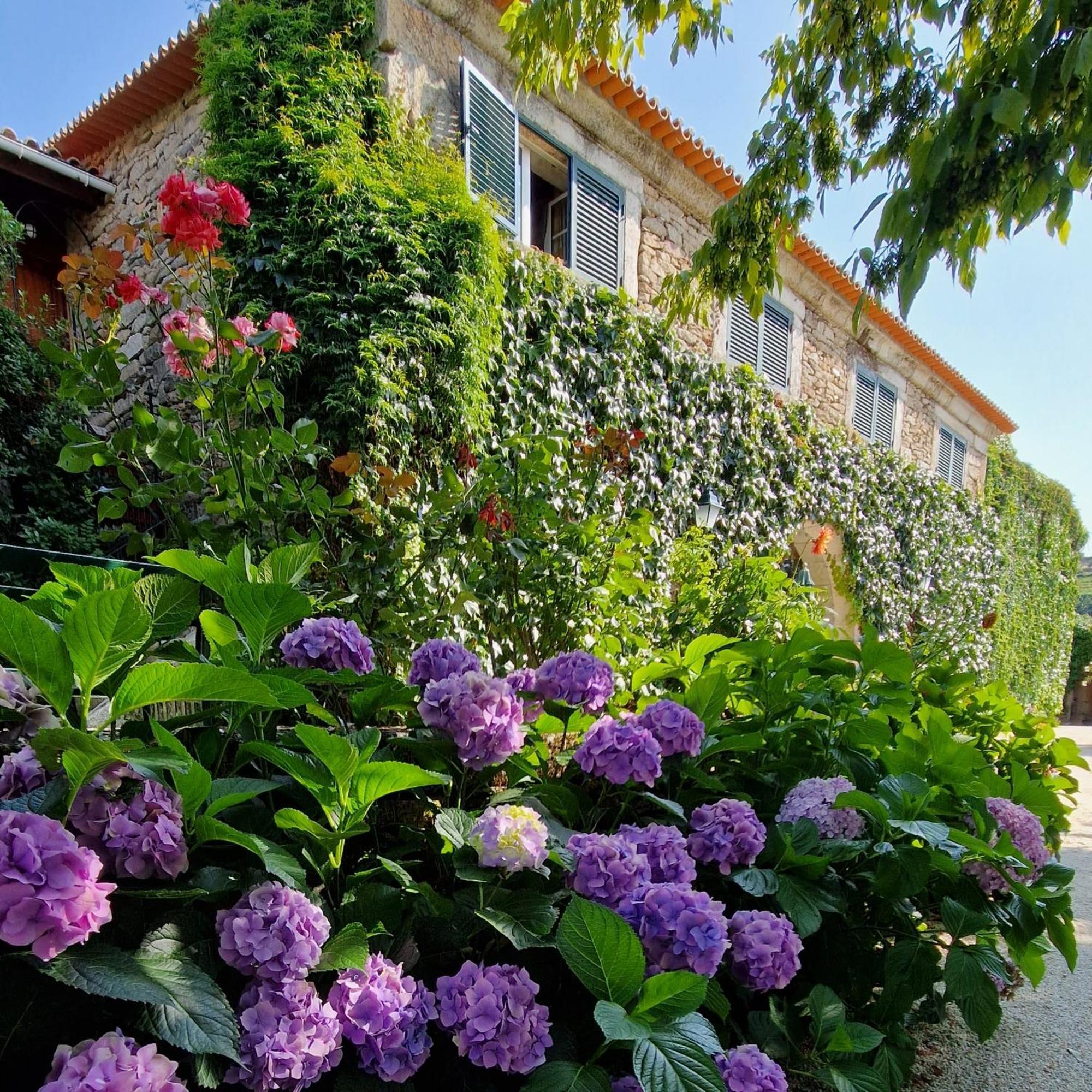 Casa De Sao Miguel Douro Hotel Armamar Værelse billede