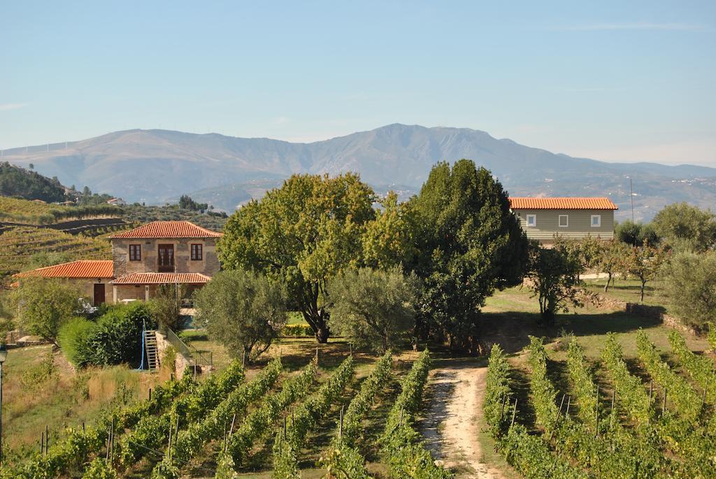 Casa De Sao Miguel Douro Hotel Armamar Eksteriør billede